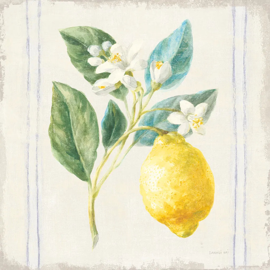 Floursack Lemons I Sq Navy by Danhui Nai. SKU 46394a. Archival Giclee Fine art print for wall decor.