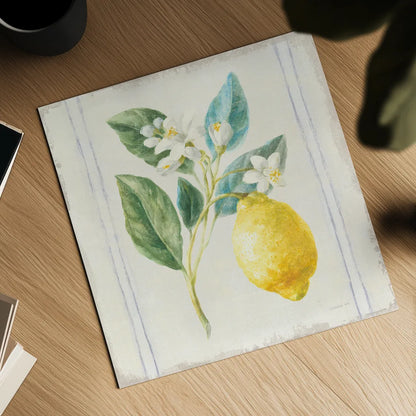 Floursack Lemons I Sq Navy by Danhui Nai. Shown as a detailed flat fine art print, highlighting archival giclee quality. Available as an archival giclee rolled canvas, fine art paper, or poster print. SKU 46394a.