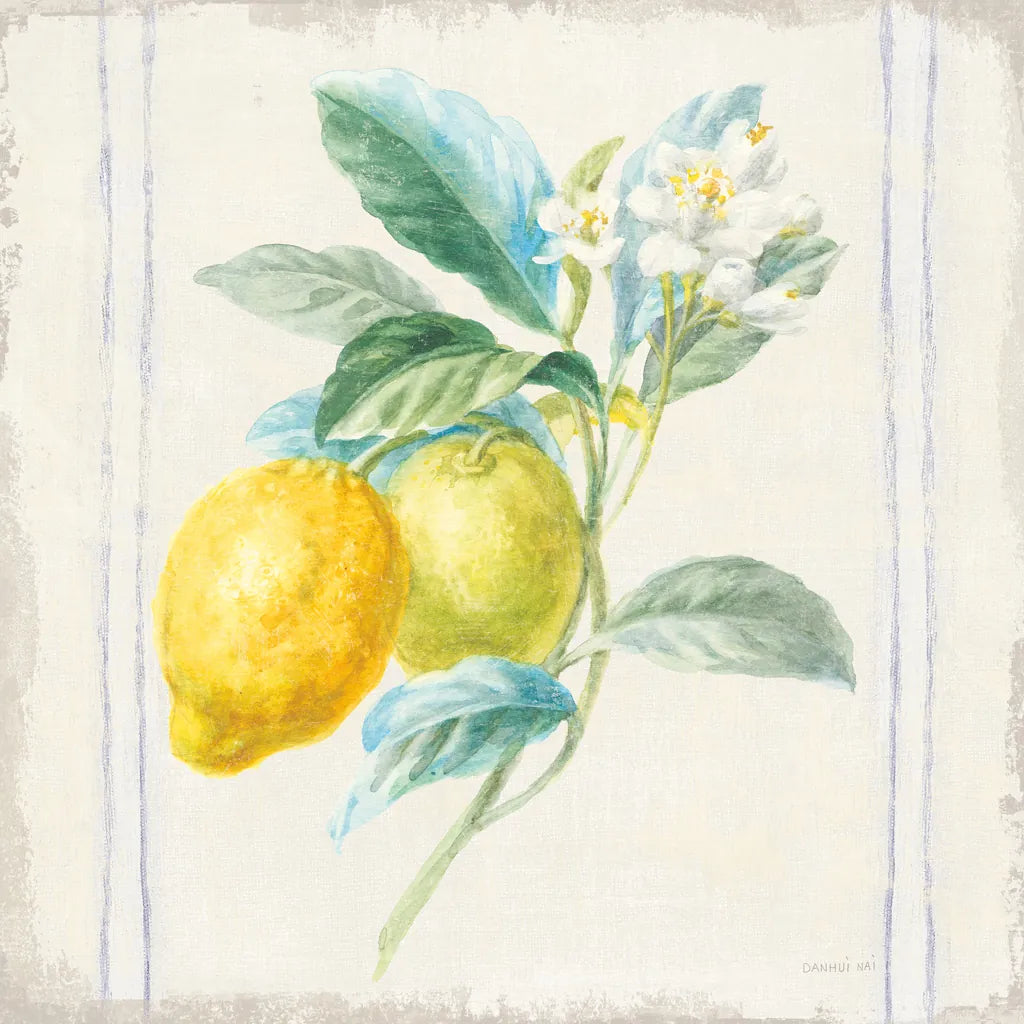 Floursack Lemons II Sq Navy by Danhui Nai. SKU 46395a. Archival Giclee Fine art print for wall decor.