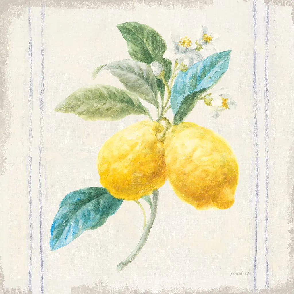 Floursack Lemons III Sq Navy by Danhui Nai. SKU 46396a. Archival Giclee Fine art print for wall decor.