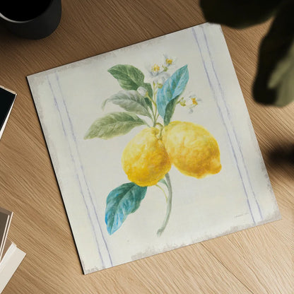 Floursack Lemons III Sq Navy by Danhui Nai. Shown as a detailed flat fine art print, highlighting archival giclee quality. Available as an archival giclee rolled canvas, fine art paper, or poster print. SKU 46396a.