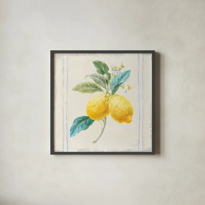 Floursack Lemons III Sq Navy by Danhui Nai. Shown in a sleek black glass frame for a contemporary gallery look. Available as an archival giclee rolled canvas, fine art paper, or poster print. SKU 46396a.