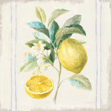 Floursack Lemons IV Sq Navy by Danhui Nai. SKU 46397a. Archival Giclee Fine art print for wall decor.
