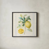 Floursack Lemons IV Sq Navy by Danhui Nai. Shown in a sleek black glass frame for a contemporary gallery look. Available as an archival giclee rolled canvas, fine art paper, or poster print. SKU 46397a.