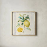 Floursack Lemons IV Sq Navy by Danhui Nai. Shown in a natural wood glass frame for a timeless modern aesthetic. Available as an archival giclee rolled canvas, fine art paper, or poster print. SKU 46397a.