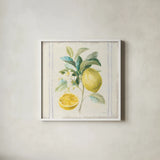 Floursack Lemons IV Sq Navy by Danhui Nai. Shown in a crisp white glass frame for a clean and minimalist style. Available as an archival giclee rolled canvas, fine art paper, or poster print. SKU 46397a.