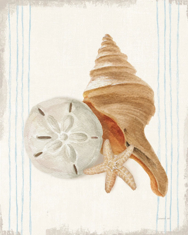 Floursack Nautical Shells III by Danhui Nai
