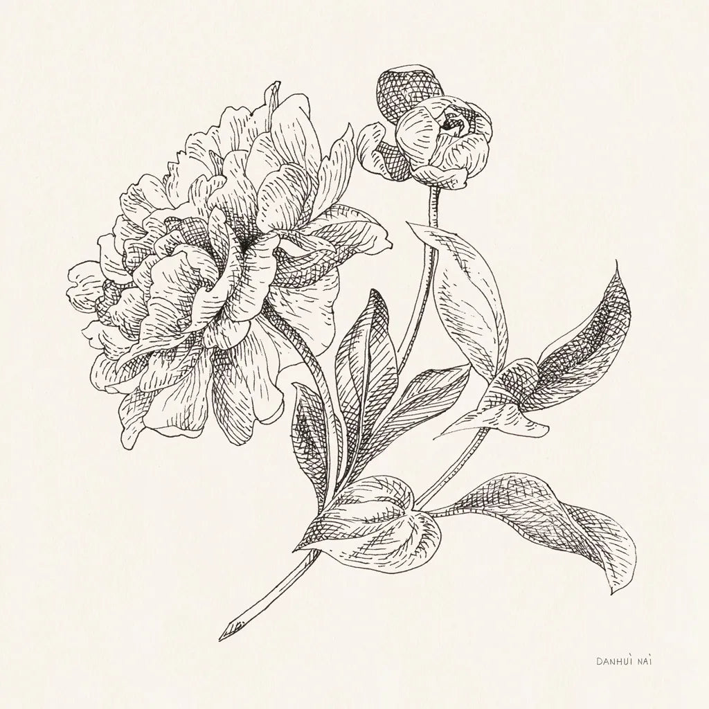 Flower Sketches I by Danhui Nai. SKU 48396a. Archival Giclee Fine art print for wall decor.