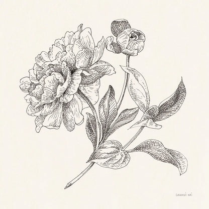 Flower Sketches I by Danhui Nai. SKU 48396a. Archival Giclee Fine art print for wall decor.