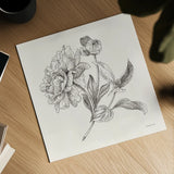 Flower Sketches I by Danhui Nai. Shown as a detailed flat fine art print, highlighting archival giclee quality. Available as an archival giclee rolled canvas, fine art paper, or poster print. SKU 48396a.