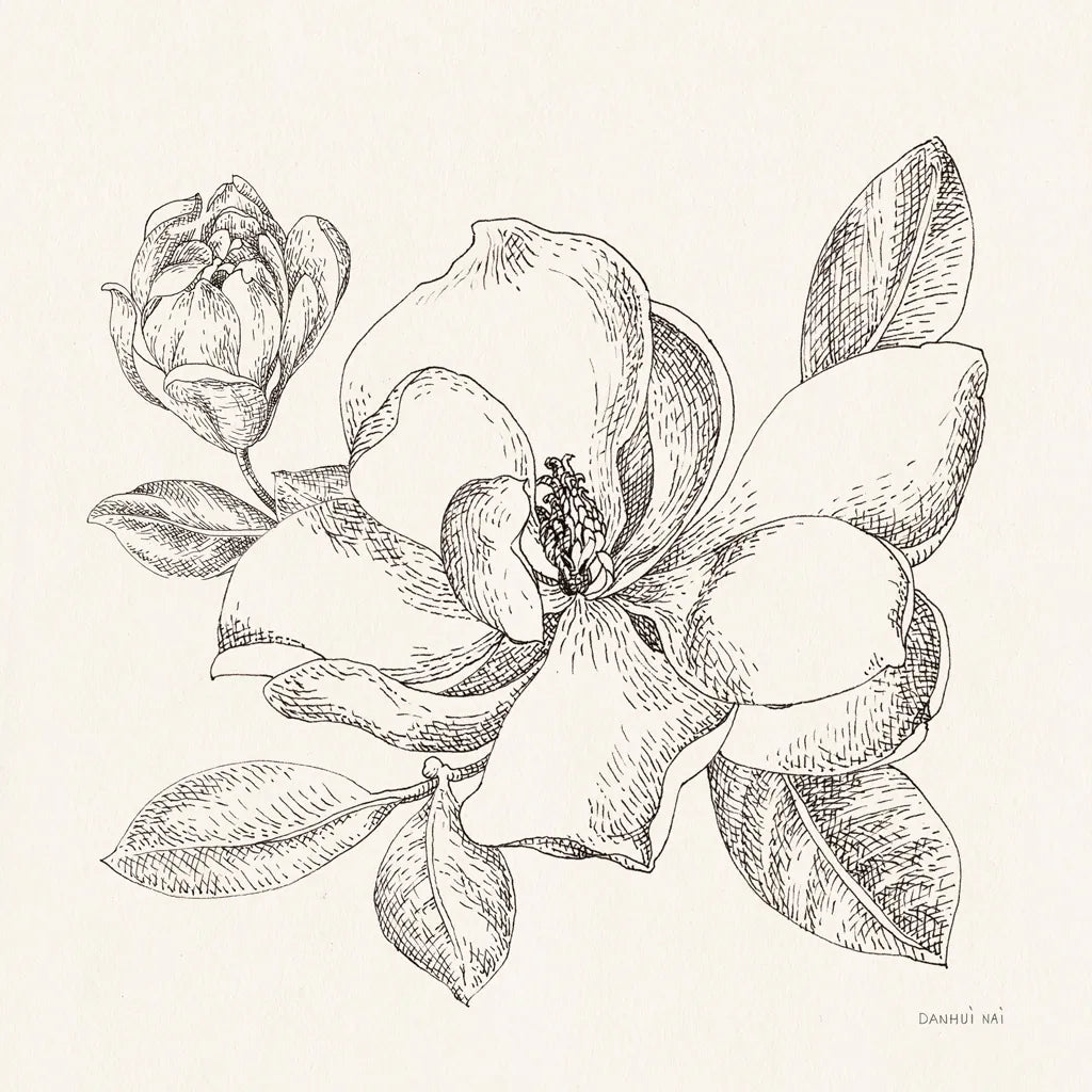 Flower Sketches II by Danhui Nai. SKU 48397a. Archival Giclee Fine art print for wall decor.