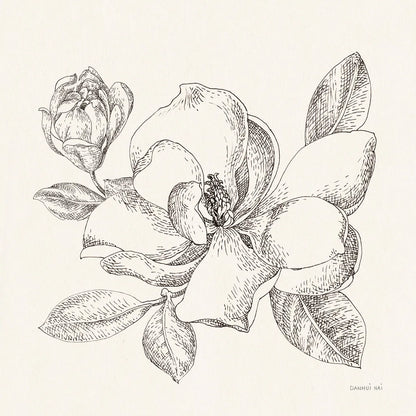 Flower Sketches II by Danhui Nai. SKU 48397a. Archival Giclee Fine art print for wall decor.