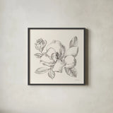 Flower Sketches II by Danhui Nai. Shown in a sleek black glass frame for a contemporary gallery look. Available as an archival giclee rolled canvas, fine art paper, or poster print. SKU 48397a.