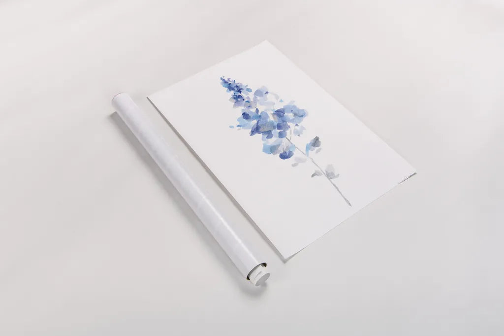 Flower Study I by Danhui Nai. shown as a rolled paper print. Available as archival giclee rolled canvas, fine art paper, or poster print. SKU 68348h.