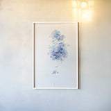 Flower Study II by Danhui Nai. shown as a paper print in a white frame. Available as a archival giclee rolled canvas, fine art paper, or poster print. SKU 68349h.