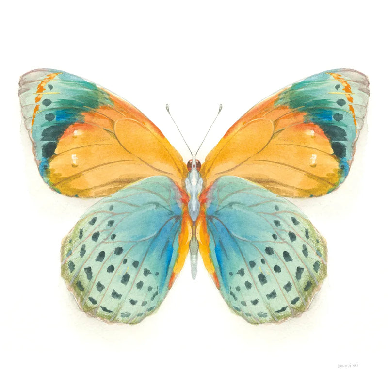 Fragile Wings Butterfly I by Danhui Nai. SKU 67491a. Archival Giclee Fine art print for wall decor.