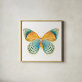 Fragile Wings Butterfly I by Danhui Nai. Shown in a natural wood glass frame for a timeless modern aesthetic. Available as an archival giclee rolled canvas, fine art paper, or poster print. SKU 67491a.