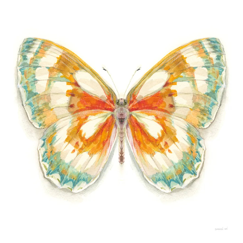 Fragile Wings Butterfly II by Danhui Nai. SKU 67492a. Archival Giclee Fine art print for wall decor.