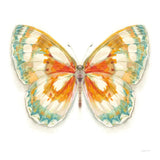 Fragile Wings Butterfly II by Danhui Nai. SKU 67492a. Archival Giclee Fine art print for wall decor.