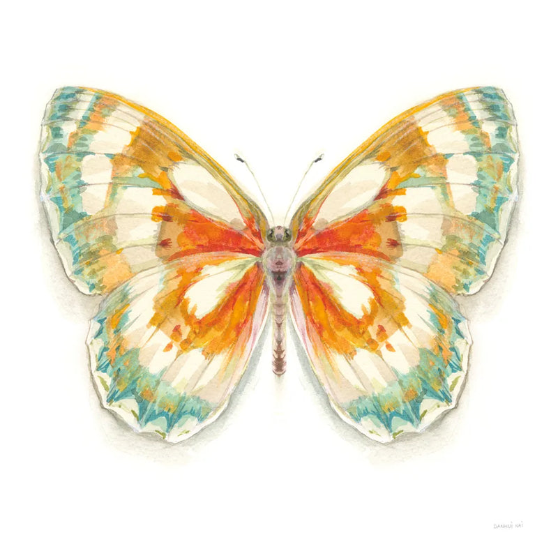 Fragile Wings Butterfly II by Danhui Nai. SKU 67492a. Archival Giclee Fine art print for wall decor.