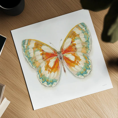 Fragile Wings Butterfly II by Danhui Nai. Shown as a detailed flat fine art print, highlighting archival giclee quality. Available as an archival giclee rolled canvas, fine art paper, or poster print. SKU 67492a.