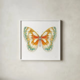 Fragile Wings Butterfly II by Danhui Nai. Shown in a crisp white glass frame for a clean and minimalist style. Available as an archival giclee rolled canvas, fine art paper, or poster print. SKU 67492a.