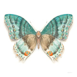 Fragile Wings Butterfly III by Danhui Nai. SKU 67493a. Archival Giclee Fine art print for wall decor.