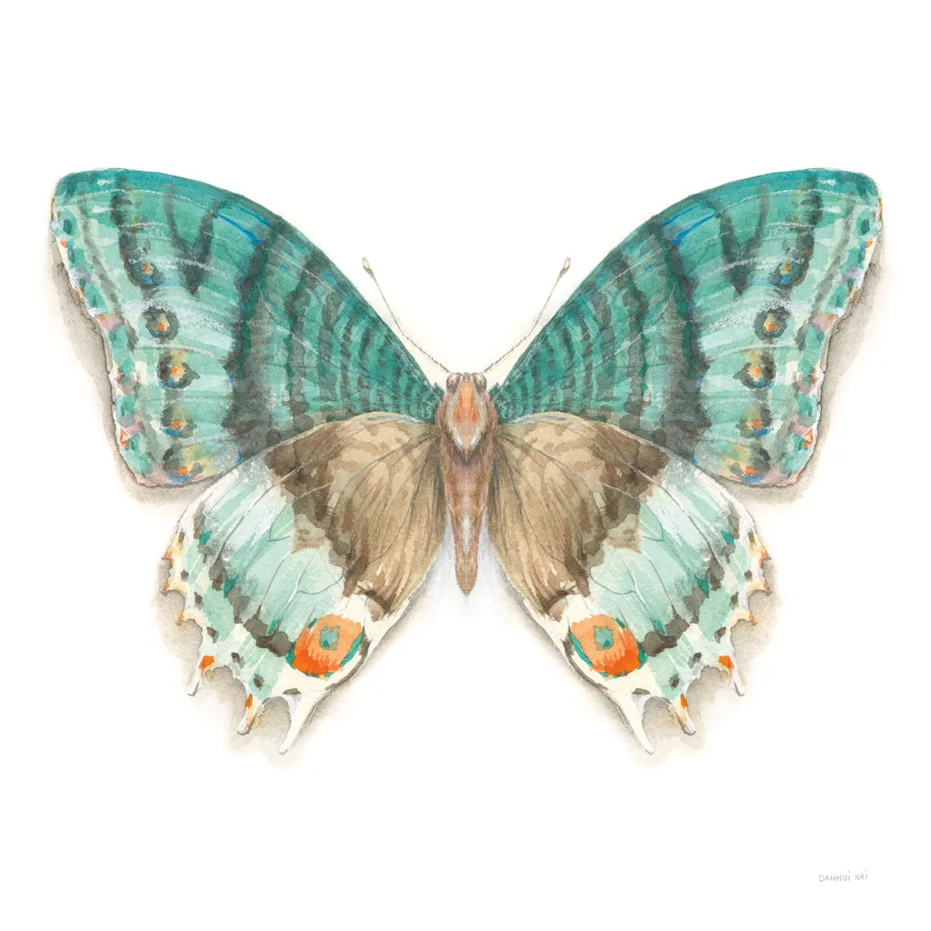 Fragile Wings Butterfly III by Danhui Nai. SKU 67493a. Archival Giclee Fine art print for wall decor.