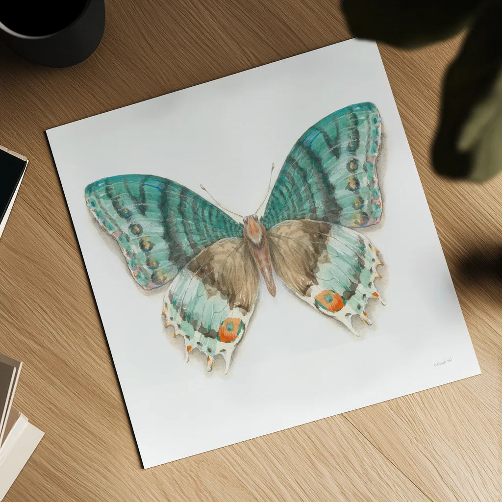 Fragile Wings Butterfly III by Danhui Nai. Shown as a detailed flat fine art print, highlighting archival giclee quality. Available as an archival giclee rolled canvas, fine art paper, or poster print. SKU 67493a.