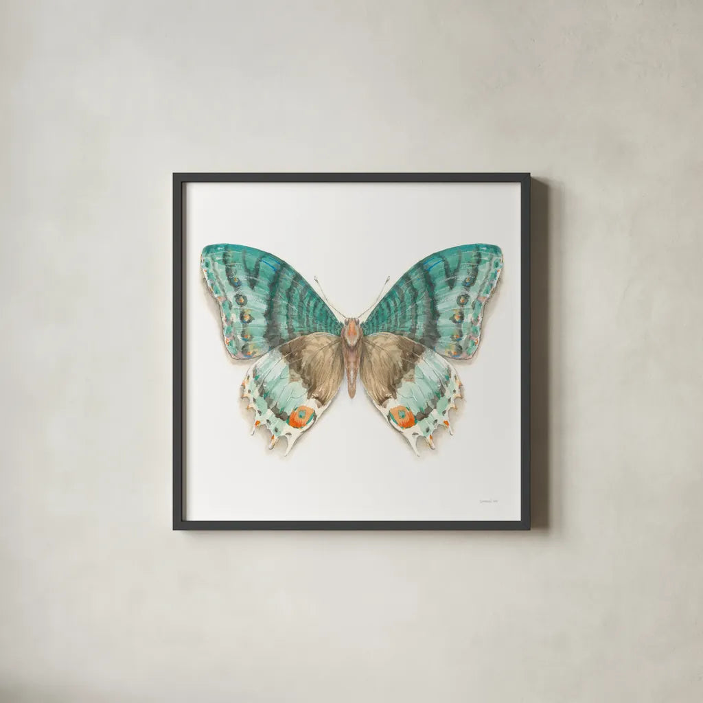 Fragile Wings Butterfly III by Danhui Nai. Shown in a sleek black glass frame for a contemporary gallery look. Available as an archival giclee rolled canvas, fine art paper, or poster print. SKU 67493a.