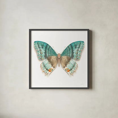 Fragile Wings Butterfly III by Danhui Nai. Shown in a sleek black glass frame for a contemporary gallery look. Available as an archival giclee rolled canvas, fine art paper, or poster print. SKU 67493a.