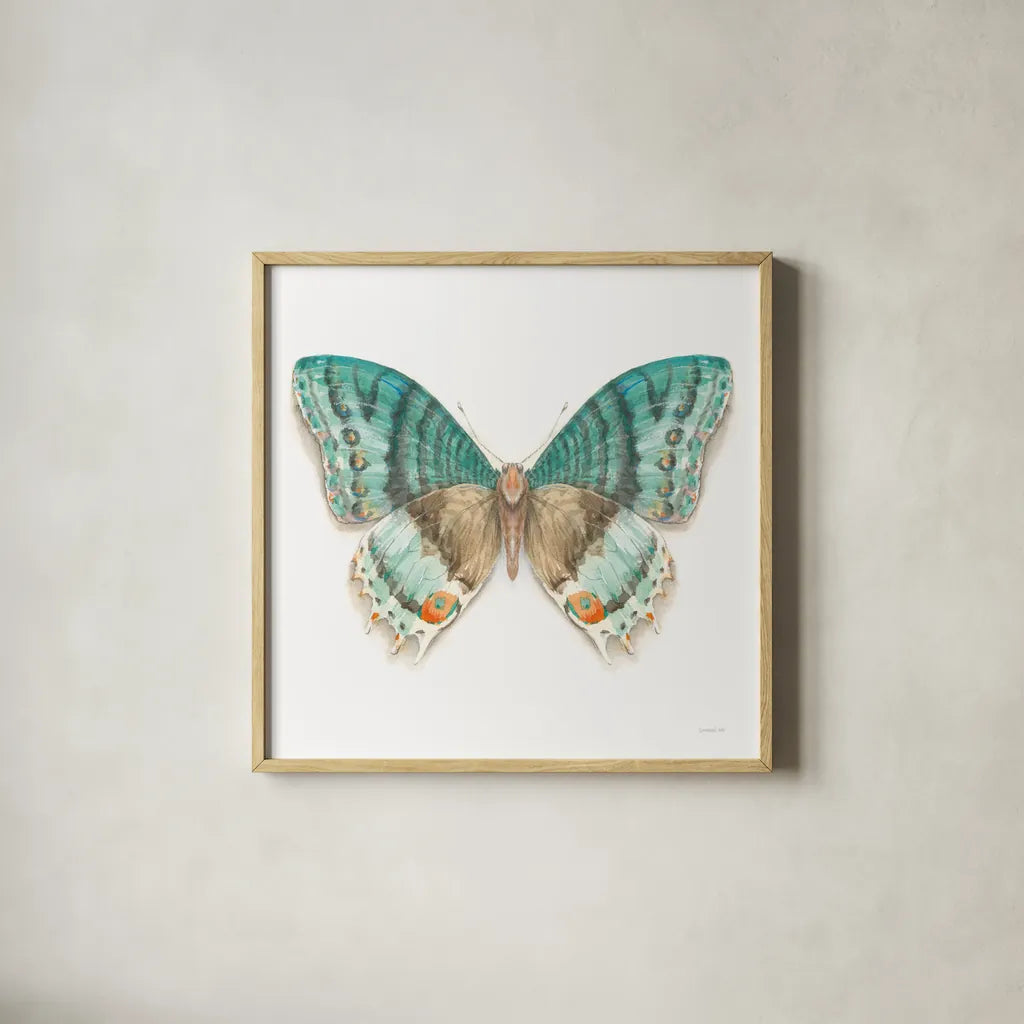 Fragile Wings Butterfly III by Danhui Nai. Shown in a natural wood glass frame for a timeless modern aesthetic. Available as an archival giclee rolled canvas, fine art paper, or poster print. SKU 67493a.