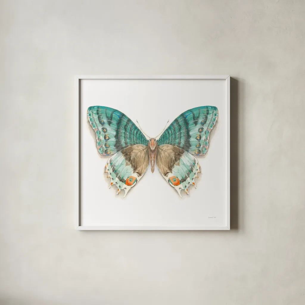 Fragile Wings Butterfly III by Danhui Nai. Shown in a crisp white glass frame for a clean and minimalist style. Available as an archival giclee rolled canvas, fine art paper, or poster print. SKU 67493a.