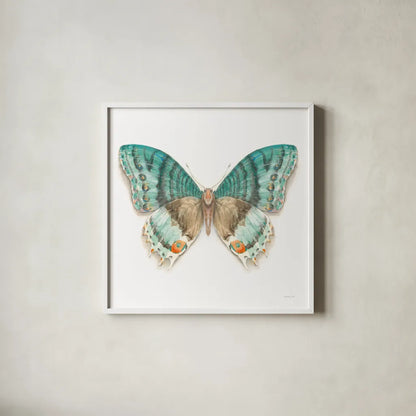 Fragile Wings Butterfly III by Danhui Nai. Shown in a crisp white glass frame for a clean and minimalist style. Available as an archival giclee rolled canvas, fine art paper, or poster print. SKU 67493a.