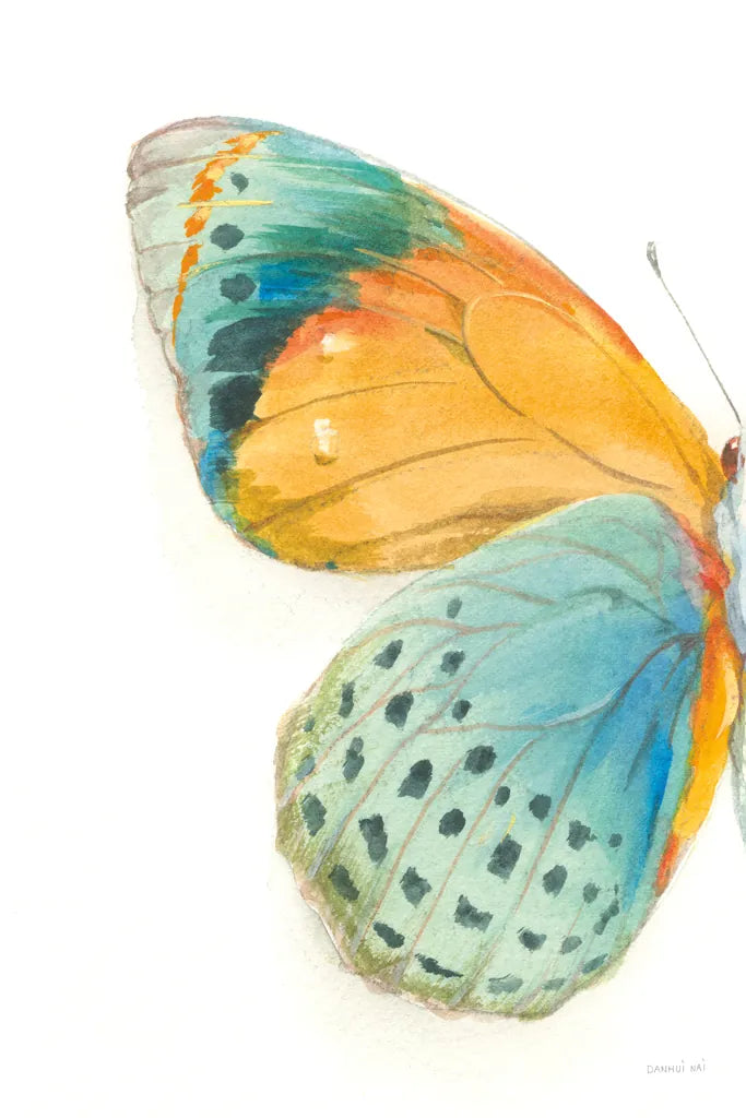 Fragile Wings I by Danhui Nai. SKU 65685h. Archival Giclee Fine art print for wall decor.