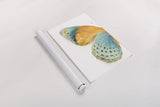 Fragile Wings I by Danhui Nai. shown as a rolled paper print. Available as archival giclee rolled canvas, fine art paper, or poster print. SKU 65685h.