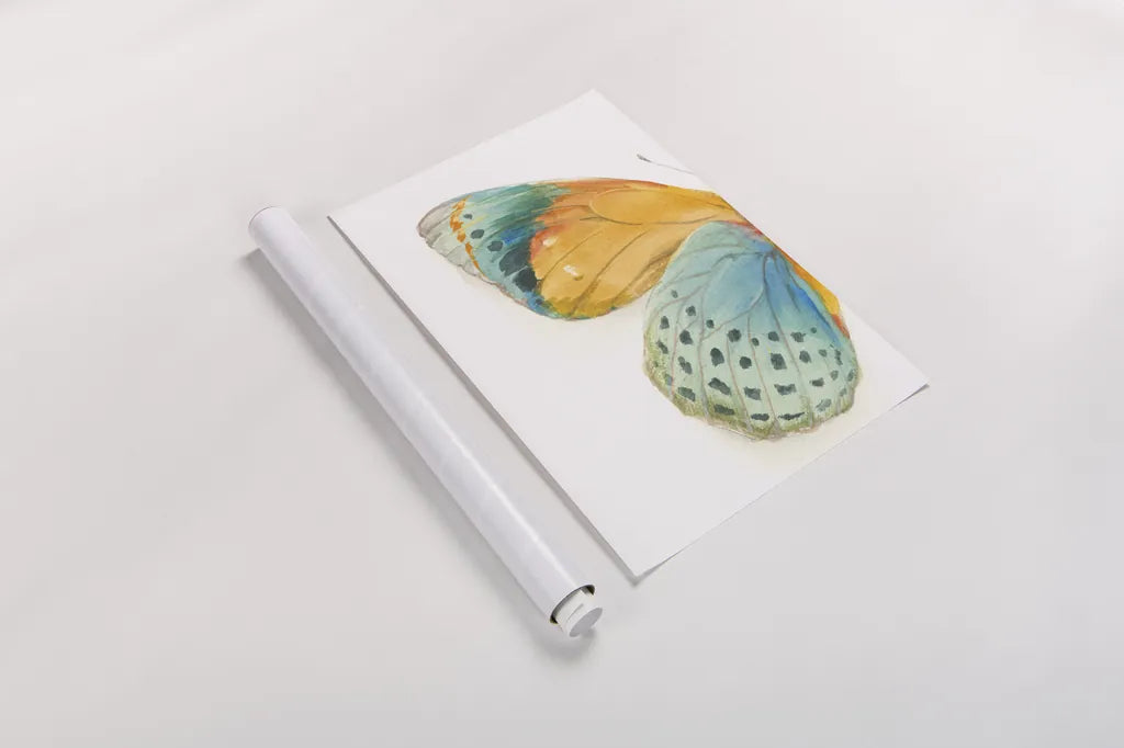 Fragile Wings I by Danhui Nai. shown as a rolled paper print. Available as archival giclee rolled canvas, fine art paper, or poster print. SKU 65685h.