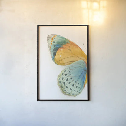 Fragile Wings I by Danhui Nai. shown as a paper print in a black flame. Available as a archival giclee rolled canvas, fine art paper, or poster print. SKU 65685h.