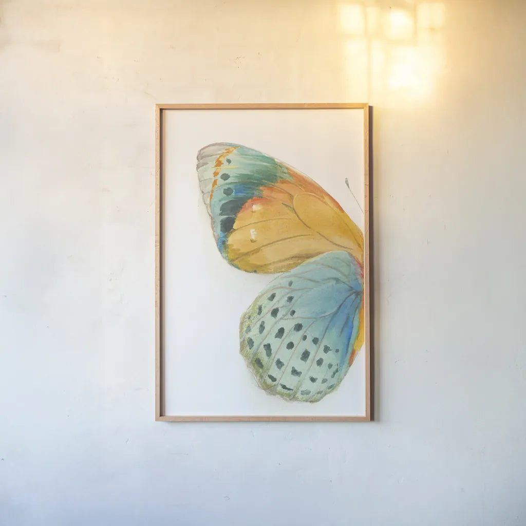 Fragile Wings I by Danhui Nai. shown as a paper print in a natural frame. Available as a archival giclee rolled canvas, fine art paper, or poster print. SKU 65685h.