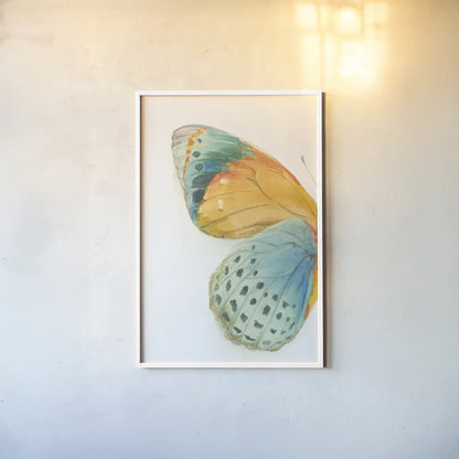 Fragile Wings I by Danhui Nai. shown as a paper print in a white frame. Available as a archival giclee rolled canvas, fine art paper, or poster print. SKU 65685h.