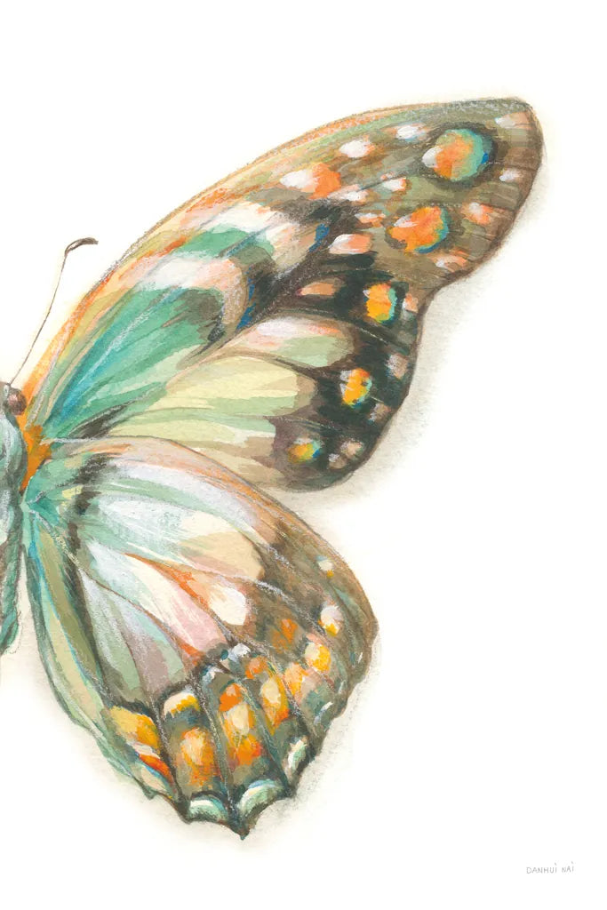 Fragile Wings II by Danhui Nai. SKU 65686h. Archival Giclee Fine art print for wall decor.