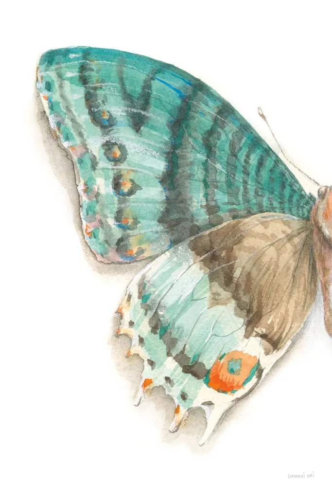 Fragile Wings III by Danhui Nai. SKU 65687h. Archival Giclee Fine art print for wall decor.