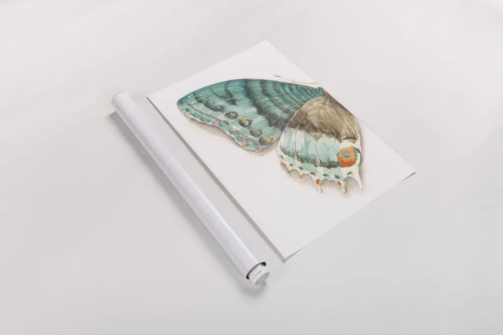 Fragile Wings III by Danhui Nai. shown as a rolled paper print. Available as archival giclee rolled canvas, fine art paper, or poster print. SKU 65687h.