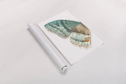 Fragile Wings III by Danhui Nai. shown as a rolled paper print. Available as archival giclee rolled canvas, fine art paper, or poster print. SKU 65687h.