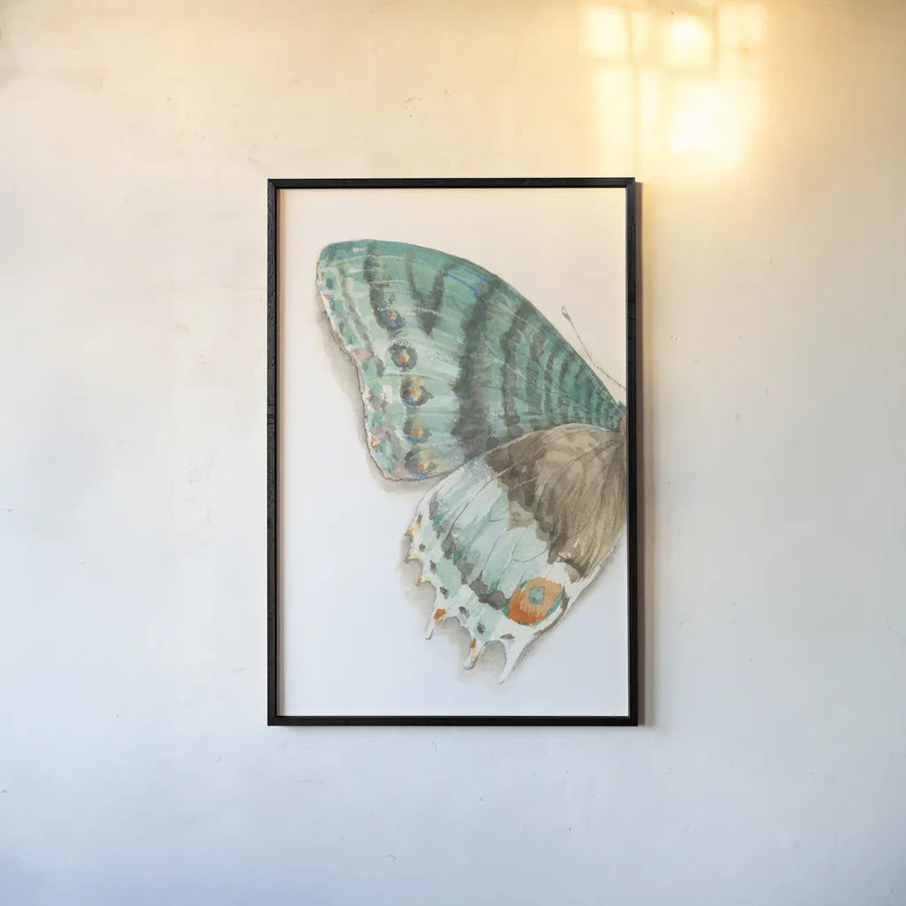Fragile Wings III by Danhui Nai. shown as a paper print in a black flame. Available as a archival giclee rolled canvas, fine art paper, or poster print. SKU 65687h.