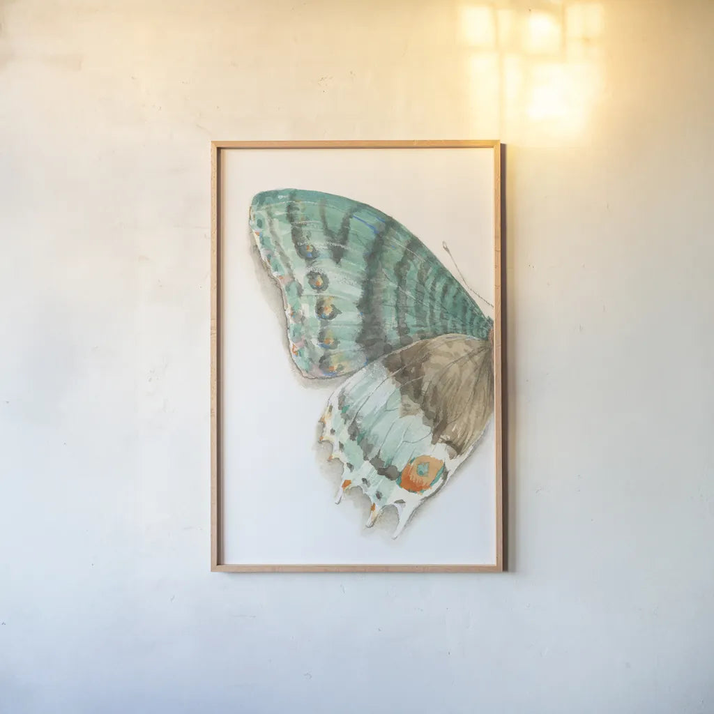 Fragile Wings III by Danhui Nai. shown as a paper print in a natural frame. Available as a archival giclee rolled canvas, fine art paper, or poster print. SKU 65687h.