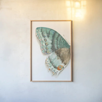 Fragile Wings III by Danhui Nai. shown as a paper print in a natural frame. Available as a archival giclee rolled canvas, fine art paper, or poster print. SKU 65687h.