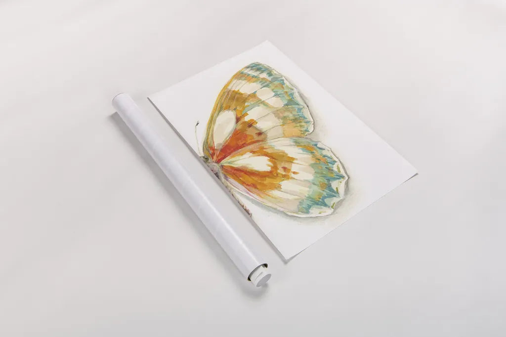 Fragile Wings IV by Danhui Nai. shown as a rolled paper print. Available as archival giclee rolled canvas, fine art paper, or poster print. SKU 65688h.