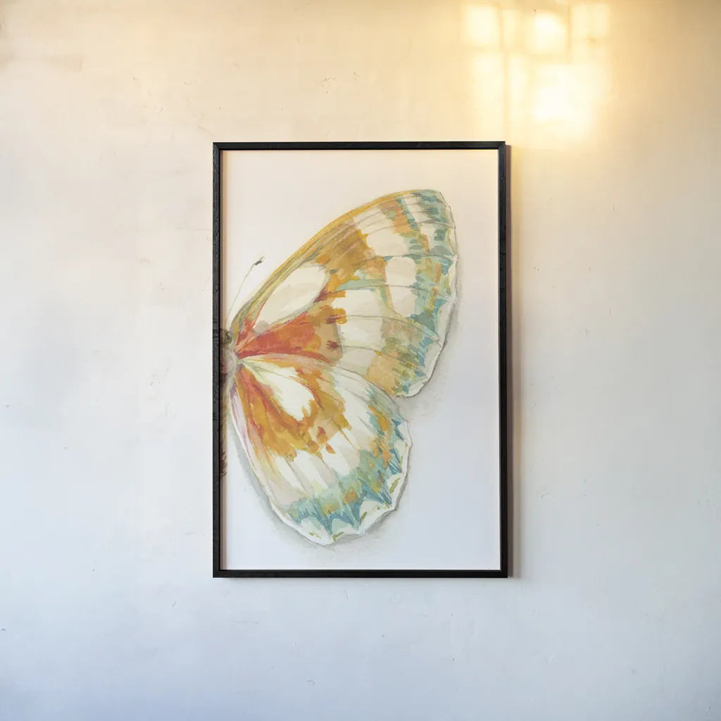 Fragile Wings IV by Danhui Nai. shown as a paper print in a black flame. Available as a archival giclee rolled canvas, fine art paper, or poster print. SKU 65688h.