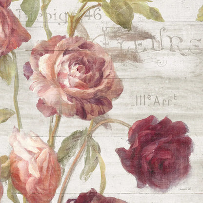 French Roses IV by Danhui Nai. SKU 46487a. Archival Giclee Fine art print for wall decor.